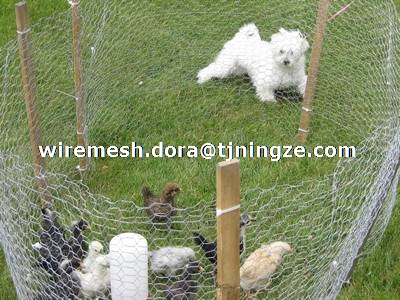 Garden Fence - Boundary Fence or Fence Cages